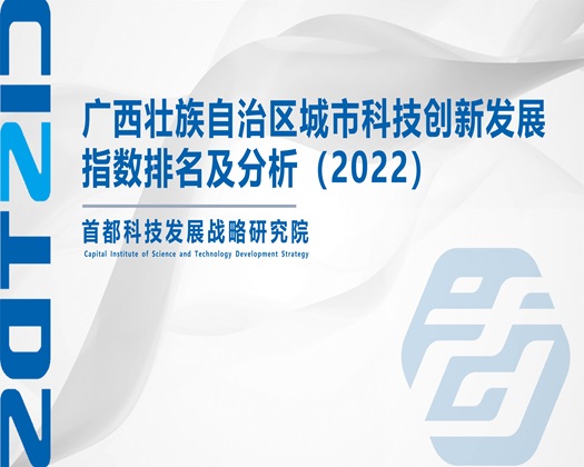 想艹死你的骚逼视频【成果发布】广西壮族自治区城市科技创新发展指数排名及分析（2022）